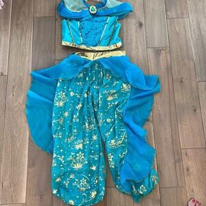 Disney Princess Jasmine from Aladdin costume (9/10)